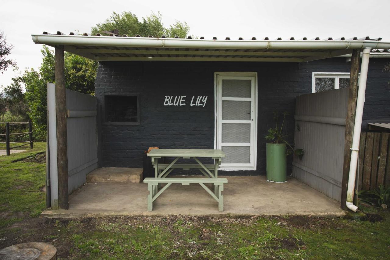 Beyond Urban Cottages ストームス・リバー エクステリア 写真